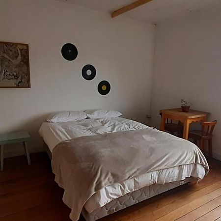 Casa Kila Hostel Вальдивия Экстерьер фото
